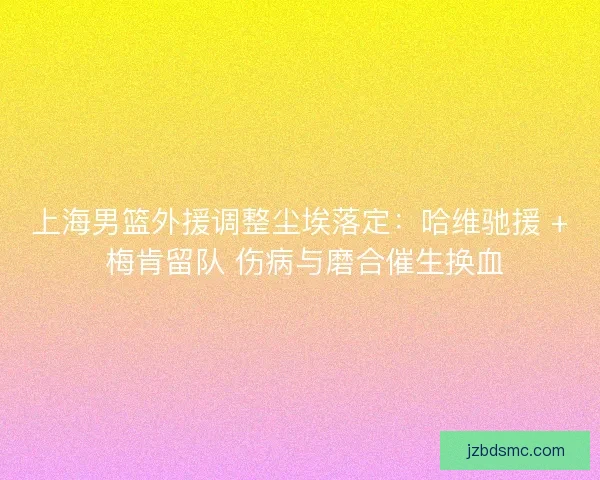 上海男篮外援调整尘埃落定：哈维驰援 + 梅肯留队 伤病与磨合催生换血